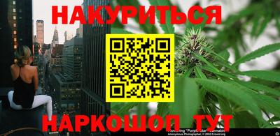 jwh Будённовск