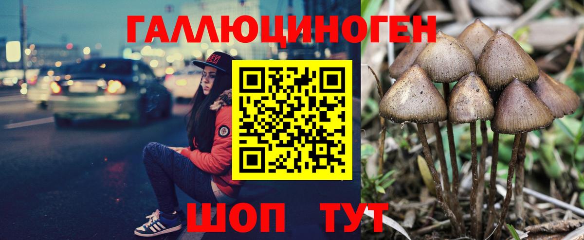 Галлюциногенные грибы Psilocybine cubensis  Галлюциногенные грибы Magic Shrooms  Тихорецк  Вход с VPN 